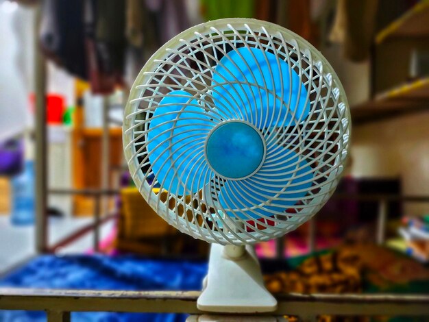 Fans